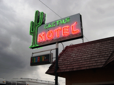cactus motel copy.gif